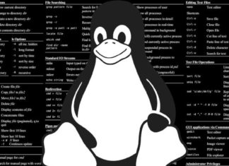 Shell linux