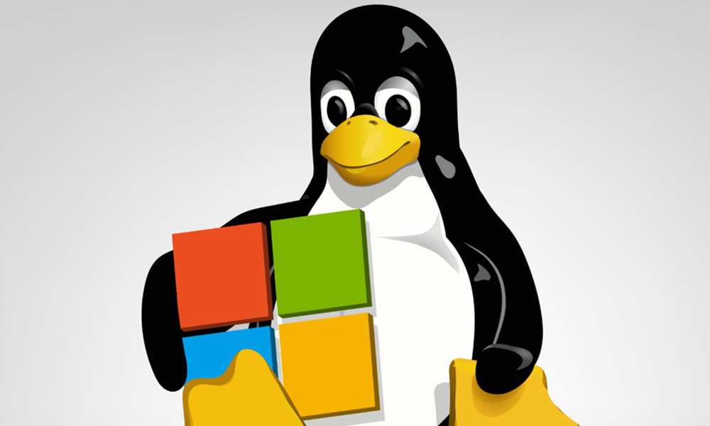 Ver ficheros Linux